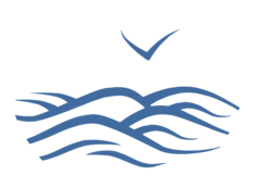 Symbolbild Möwe und Wellen