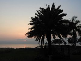 Blick auf den See Genezareth